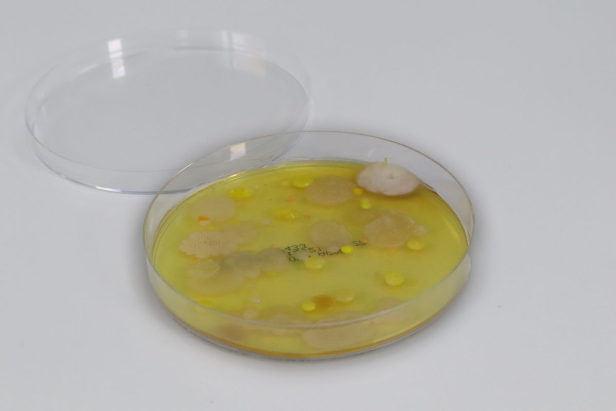 IGZ Instruments, Air sampler Spin Air